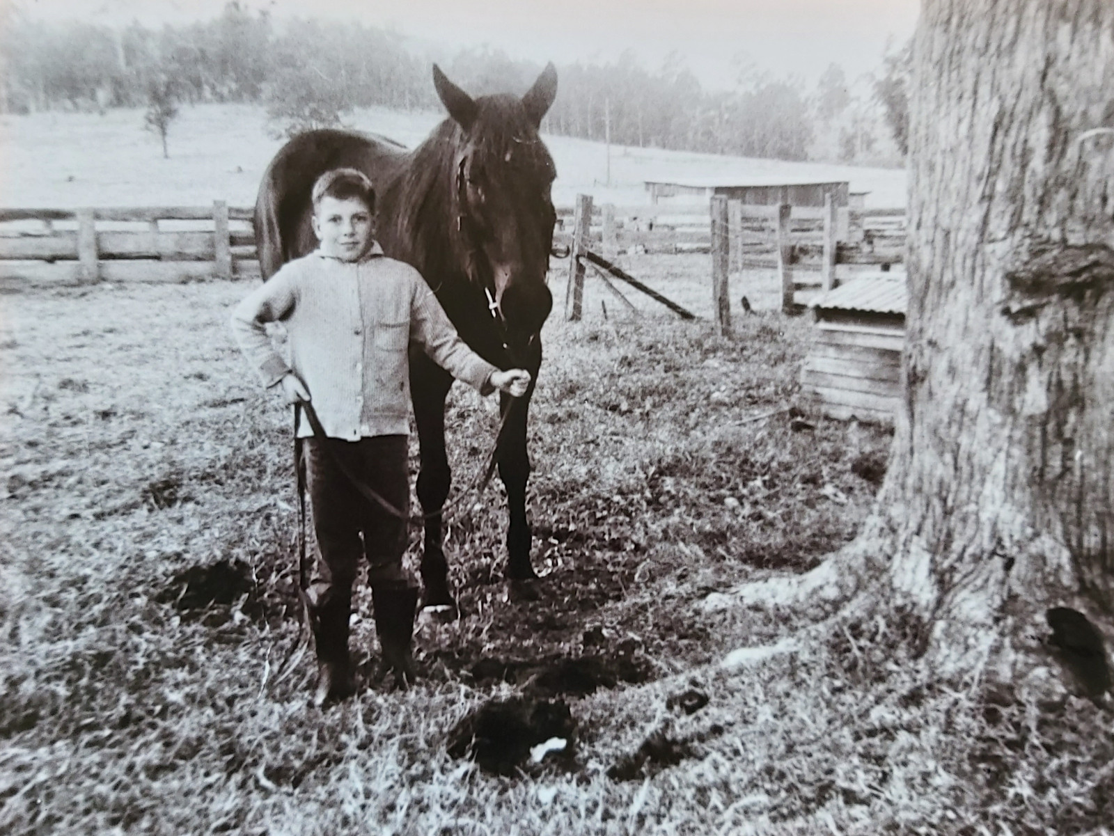Artwork by Robbie Gambley, Victim-Survivor, when he was around 10 years old, with his bay mare, Brownie, submitted to Voices for Action. A black-and-white photograph showing a child standing beside a horse in an outdoor paddock.